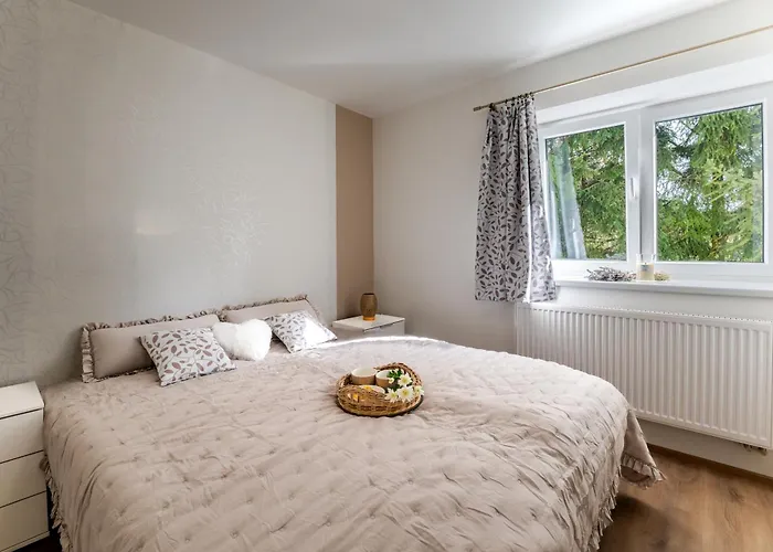 Srdce Vysociny Apartment Svratouch